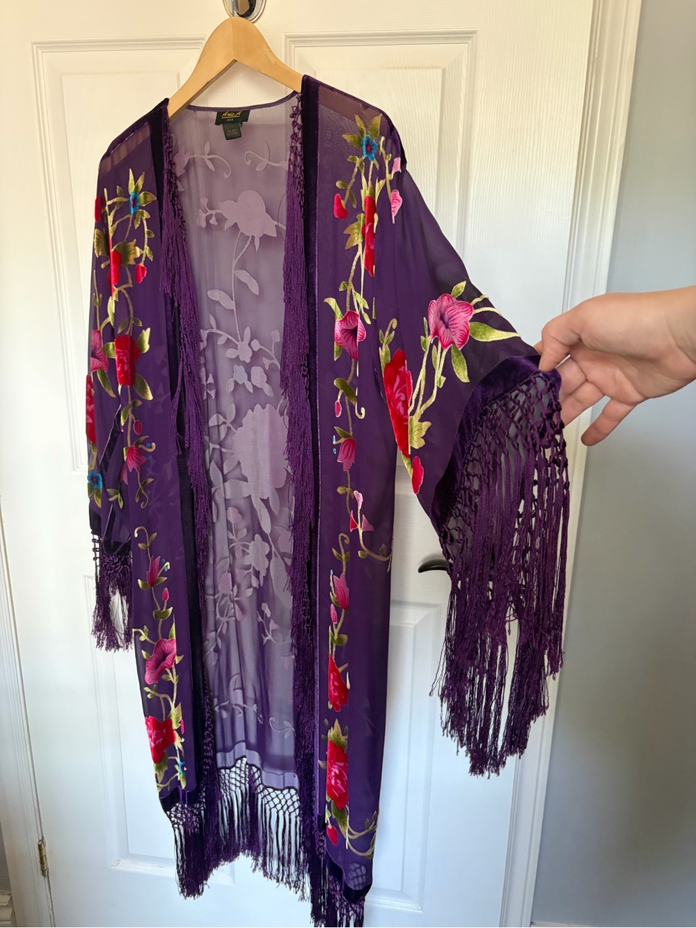 Vintage Aris. A Burnout Silk Velvet Fringe Kimono